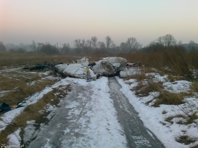 fot. Mateusz