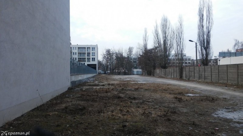 fot. Petycje online