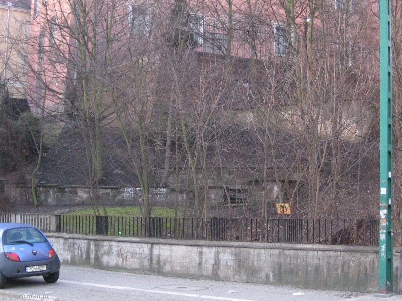 fot. Piotr