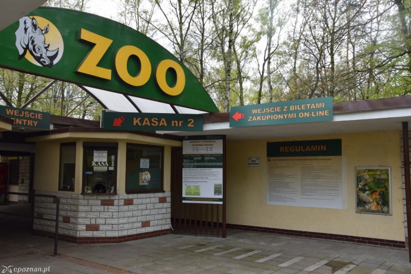 fot. ZOO Poznań