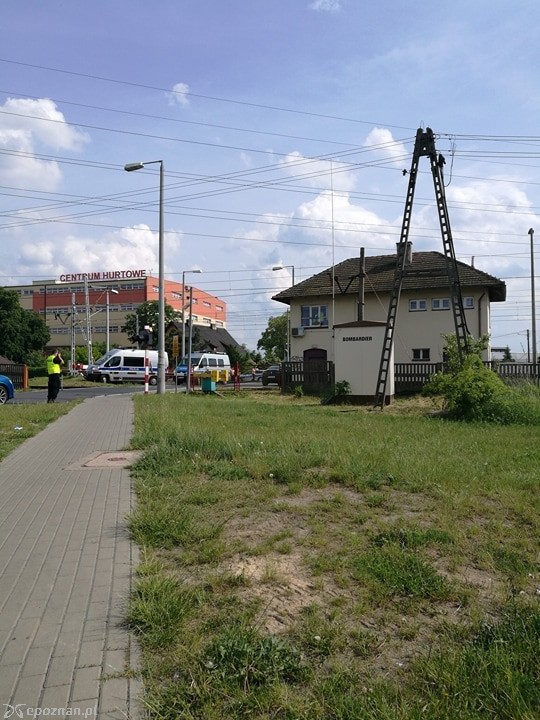 fot. Paweł Cz.