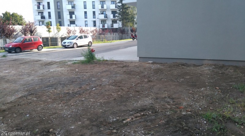 fot. Straż miejska