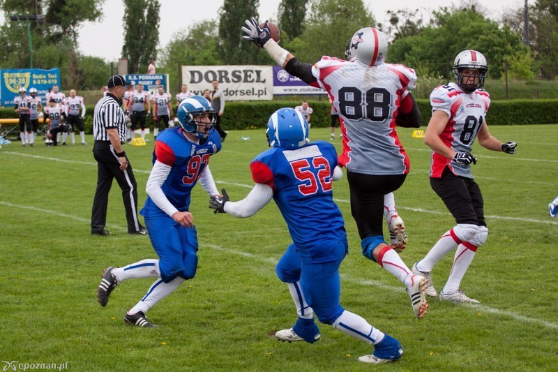 Kozły Poznań - Zagłębie Steelers Interpromex Będzin 39:7  | fot. Tomasz Szwajkowski