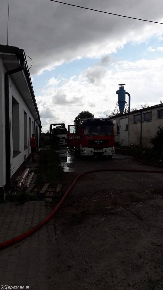 fot. OSP Rogoźno