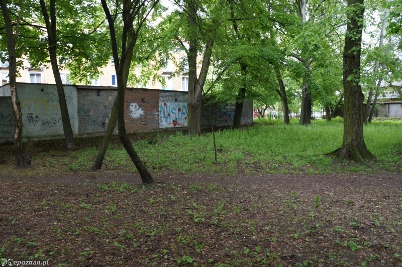 fot. Paweł