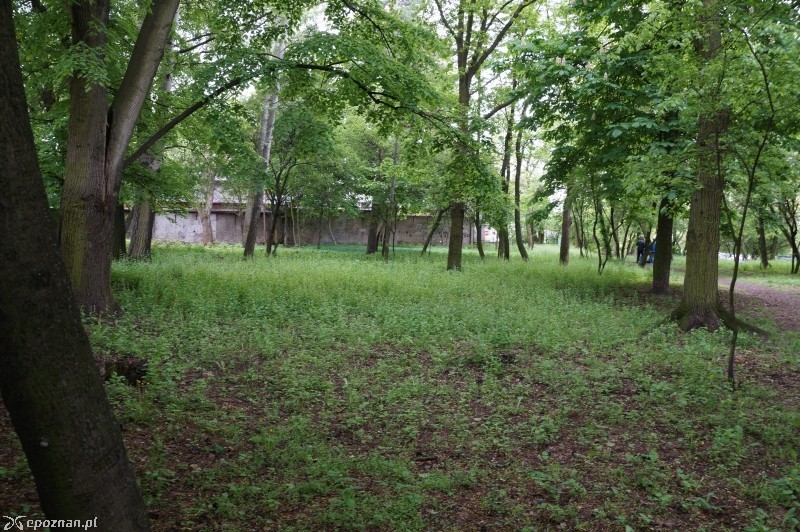 fot. Paweł