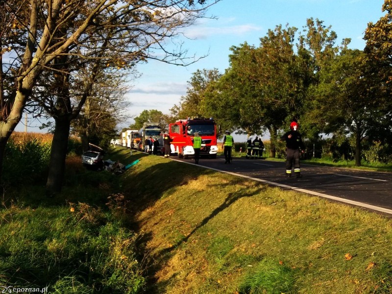 fot. KPP Grodzisk Wielkopolski