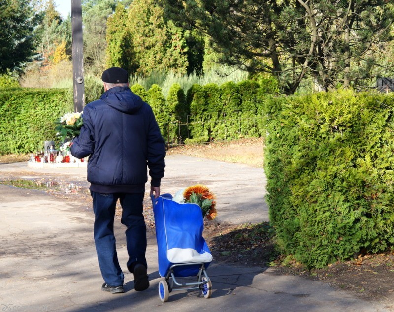 fot. Włodzimierz  Hoppel