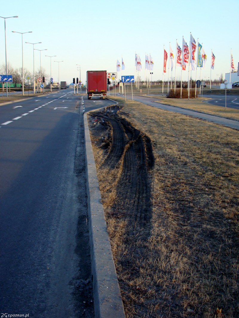 Marzec 2012 | fot. czytelnik