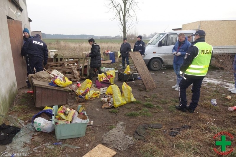 fot. Pogotowie dla zwierząt