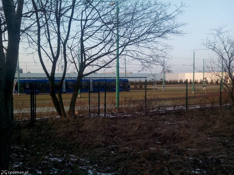 fot. Bartosz Panasiuk