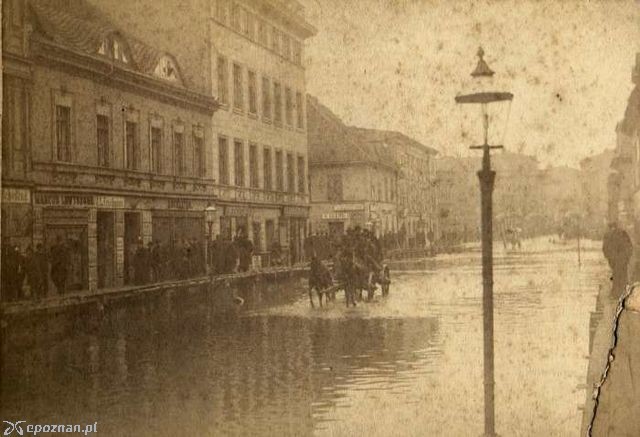 fot. poznan.wikia.com
