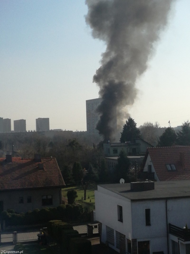 fot. czytelnik
