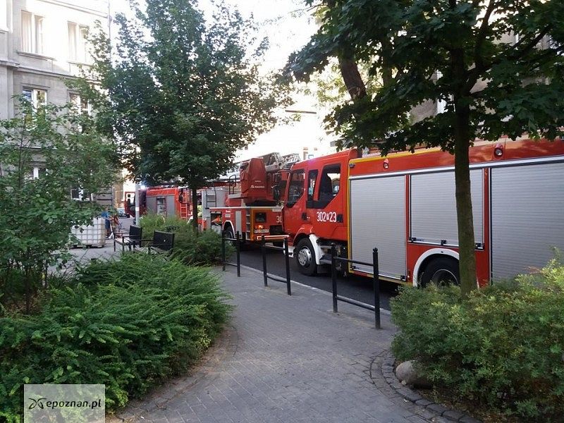 fot. czytelnik