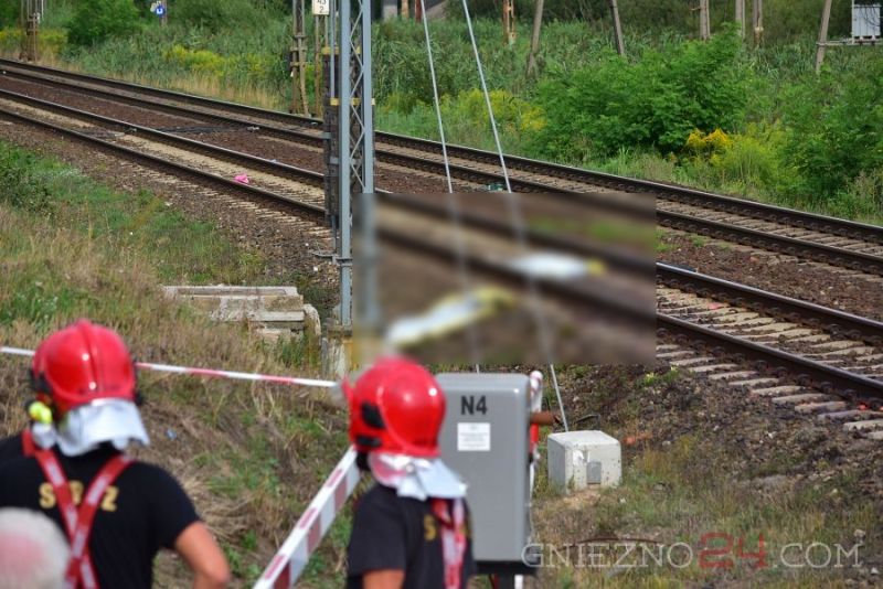 fot. Gniezno24.com