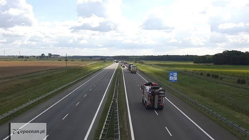fot. Krzysztof Czub