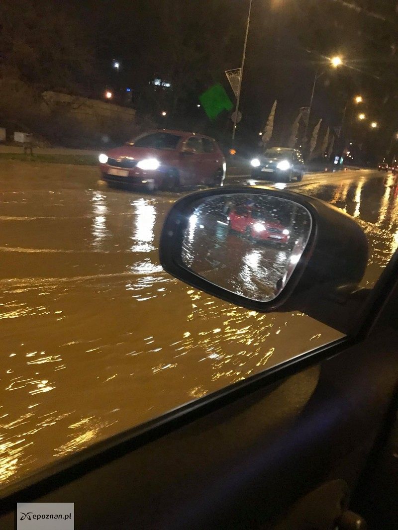 fot. Metju Mat