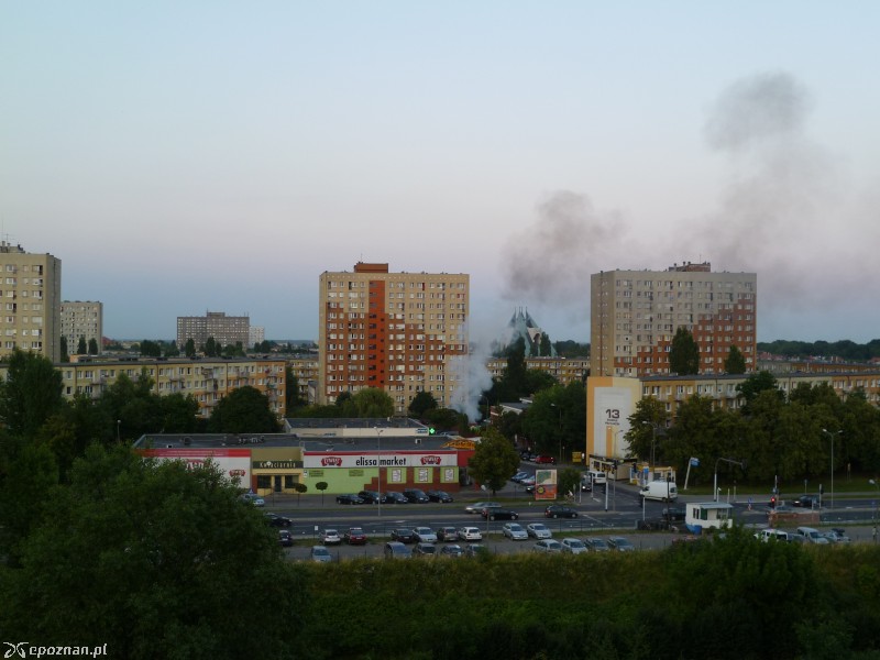 fot. Mariusz