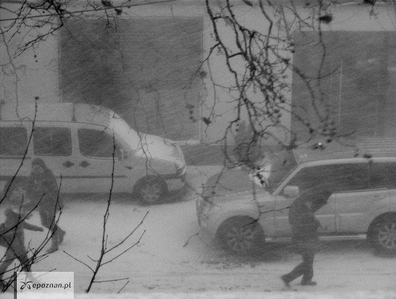 fot. Halina P.
