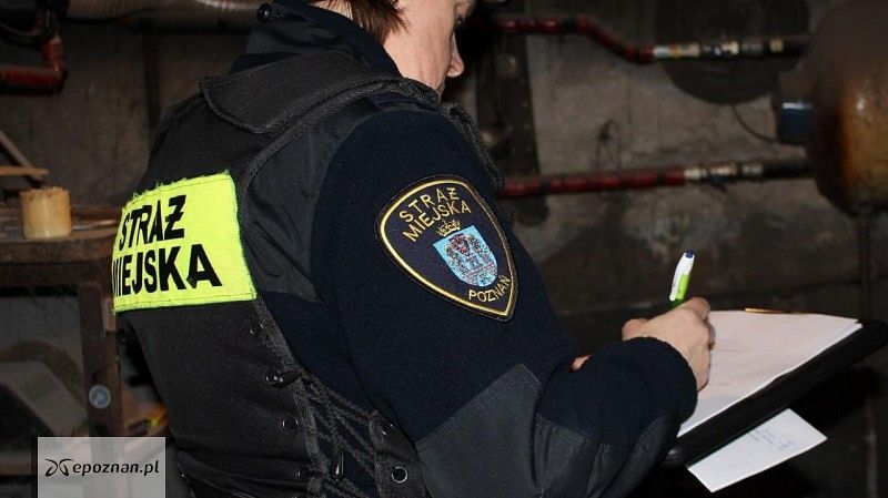 fot. Straż Miejska