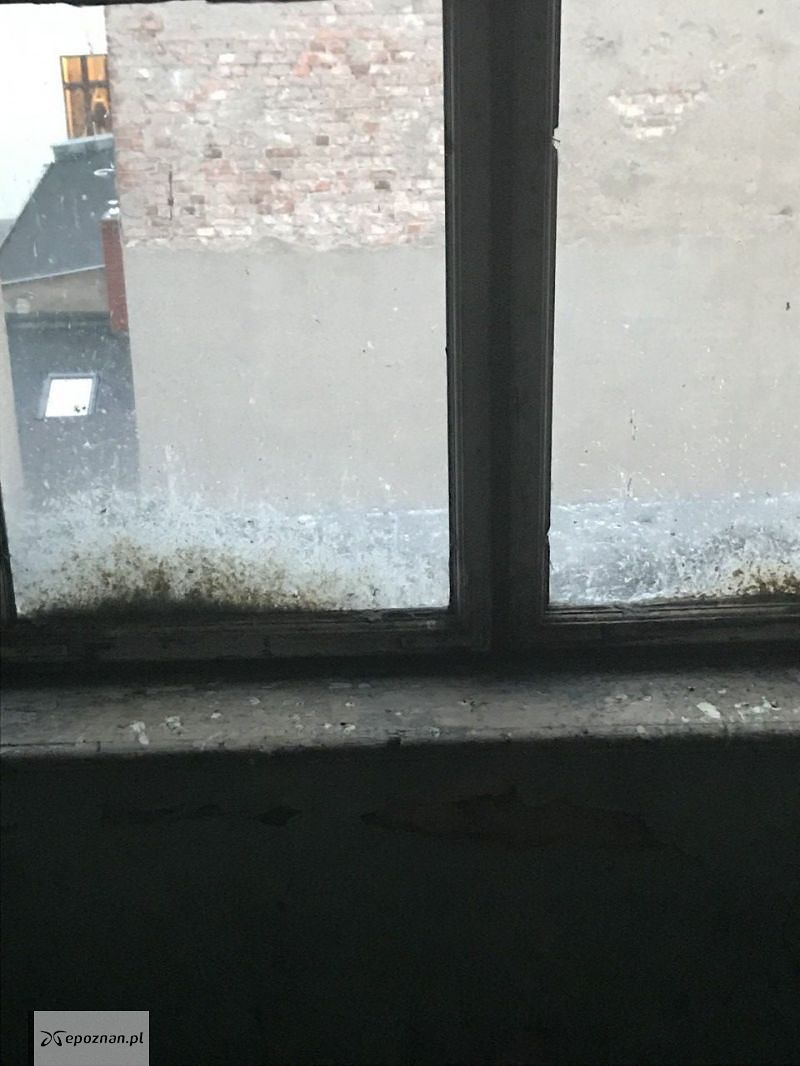 fot. czytelniczka