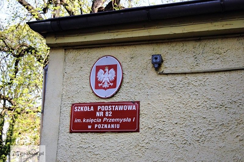 fot. Katarzyna Michalak