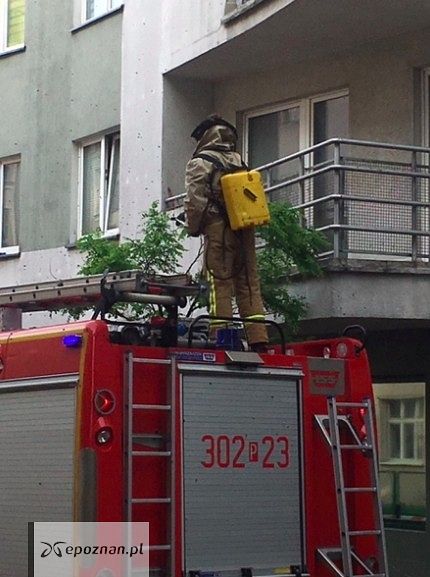fot. Straż miejska
