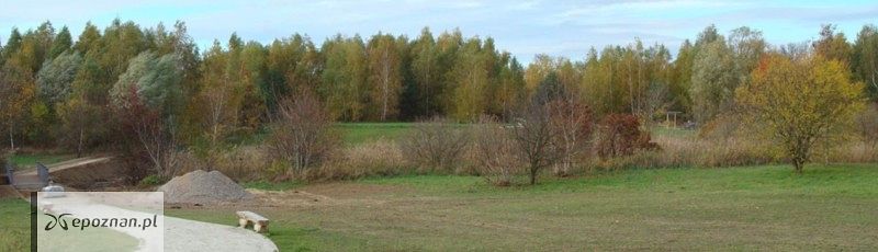 fot. ZZM Poznań