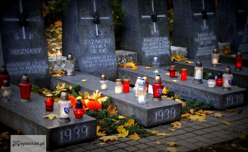fot. Włodzimierz  Hoppel