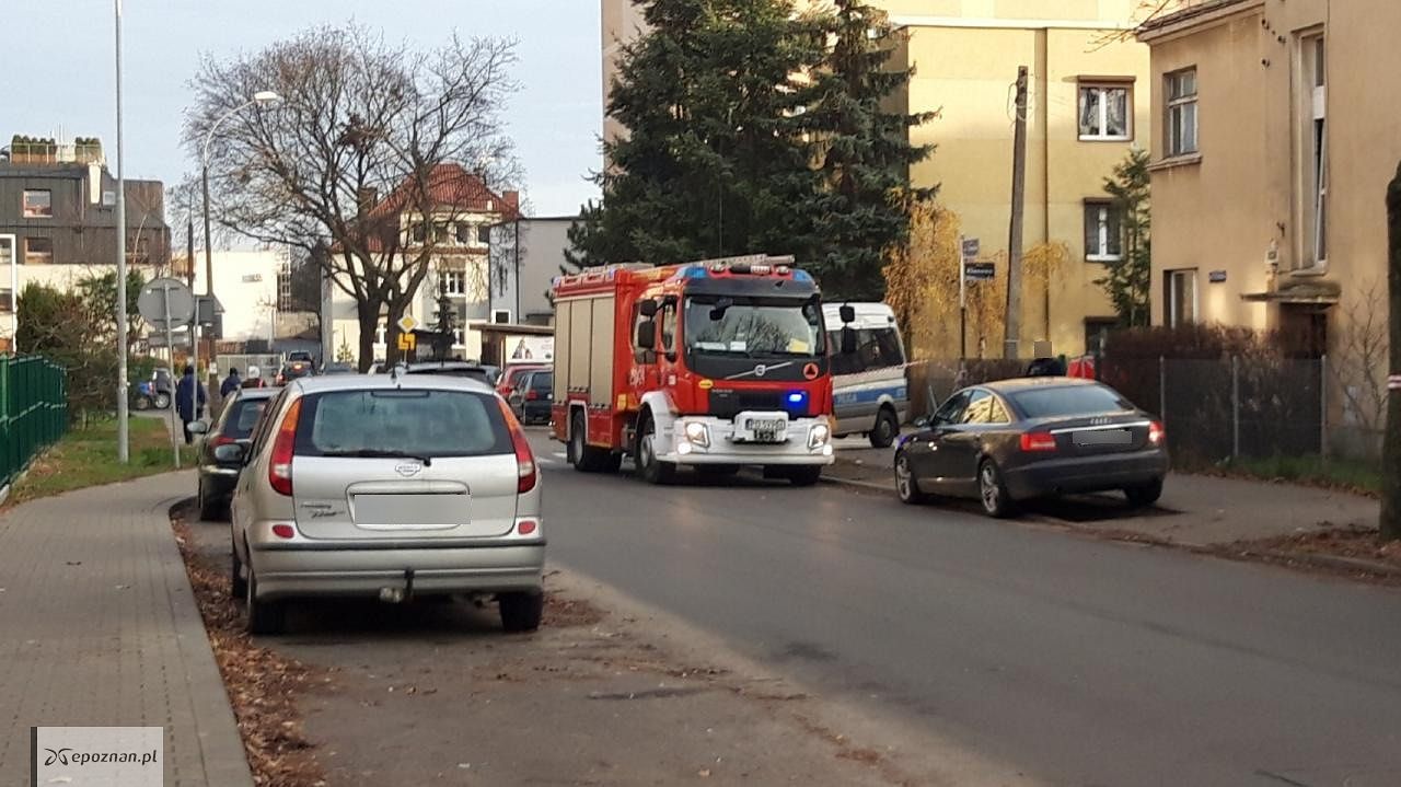 fot. Mirek