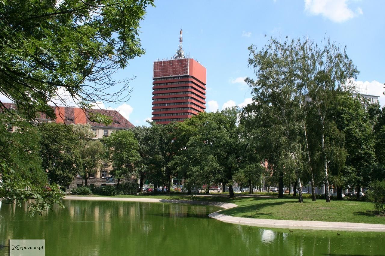 fot. materiały prasowe UEP