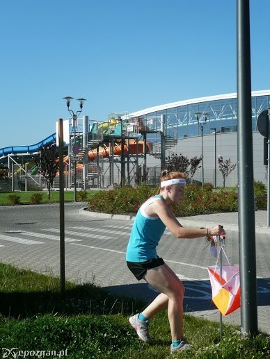 fot. poznajpoznan.com