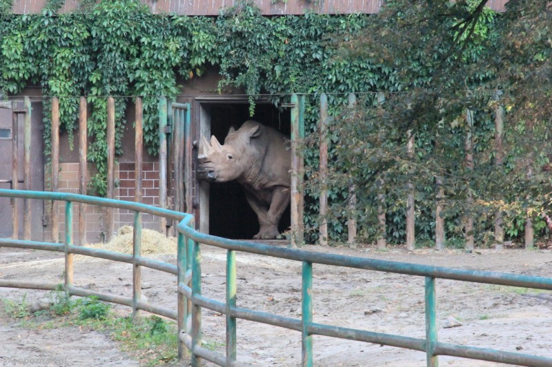 fot. Nowe ZOO