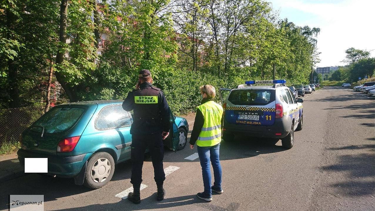 fot. Straż Miejska
