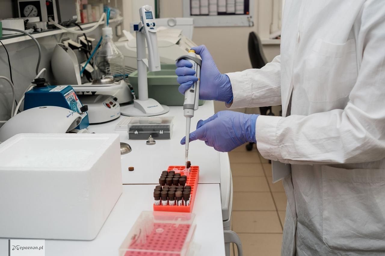 fot. Instytut Chemii Bioorganicznej Polskiej Akademii Nauk w Poznaniu