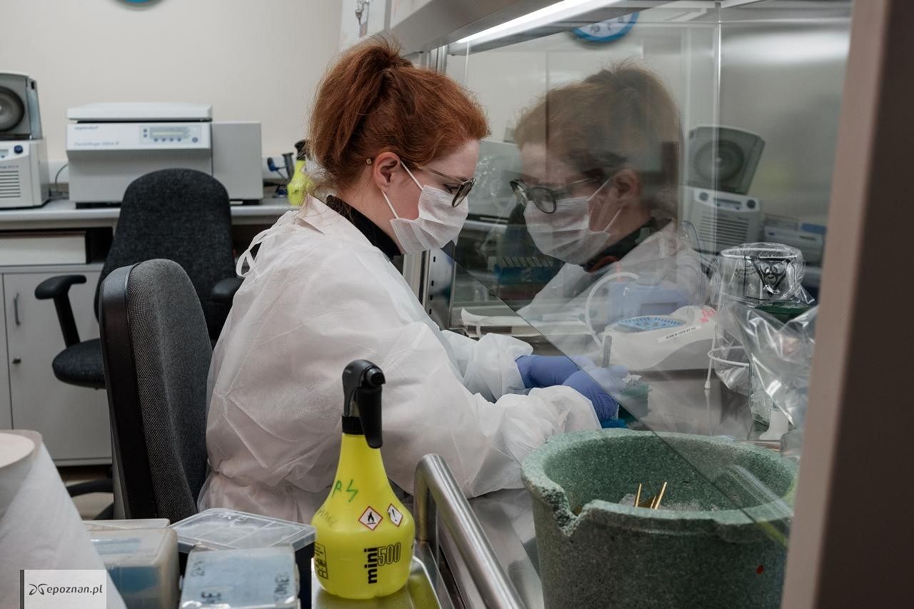 fot. Instytut Chemii Bioorganicznej Polskiej Akademii Nauk w Poznaniu
