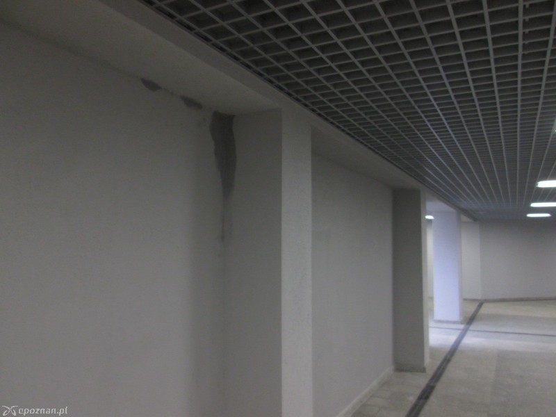 fot. Nishio Poznań