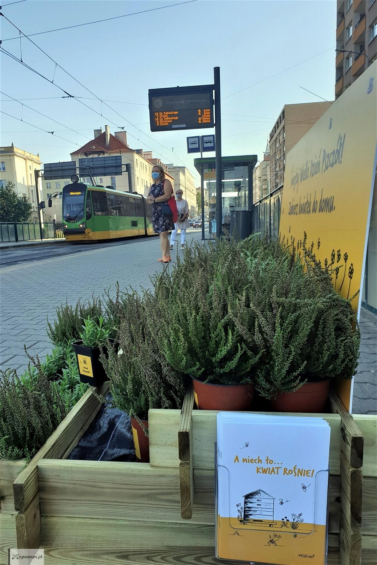 fot. MPK Poznań