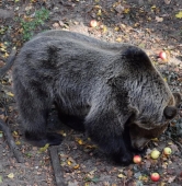 fot. ZOO Poznań Official / Facebook