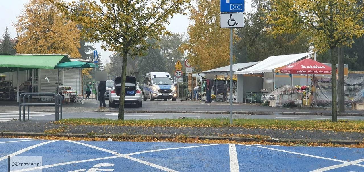 Cmentarz na Junikowie | fot. Magdalena