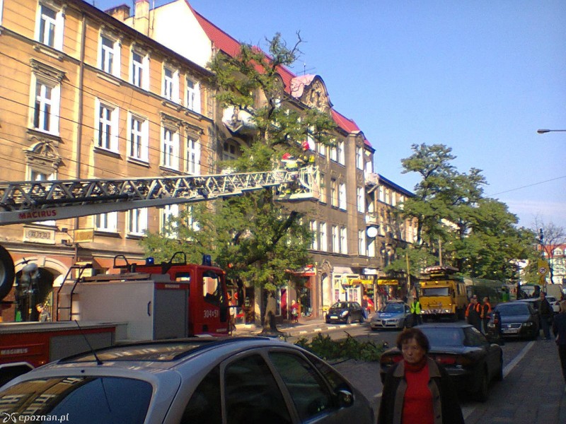 fot. Agnieszka Ignaszak