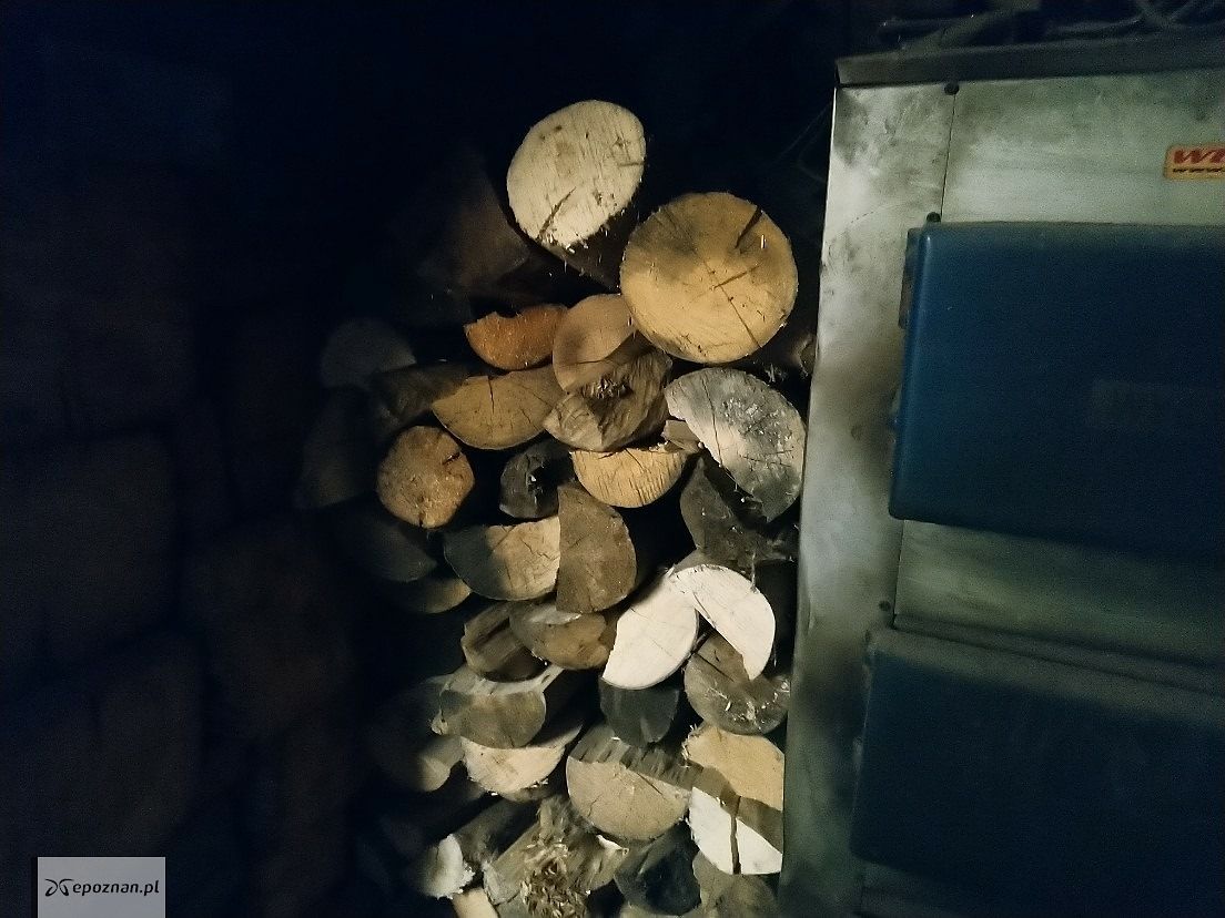fot. Straż miejska