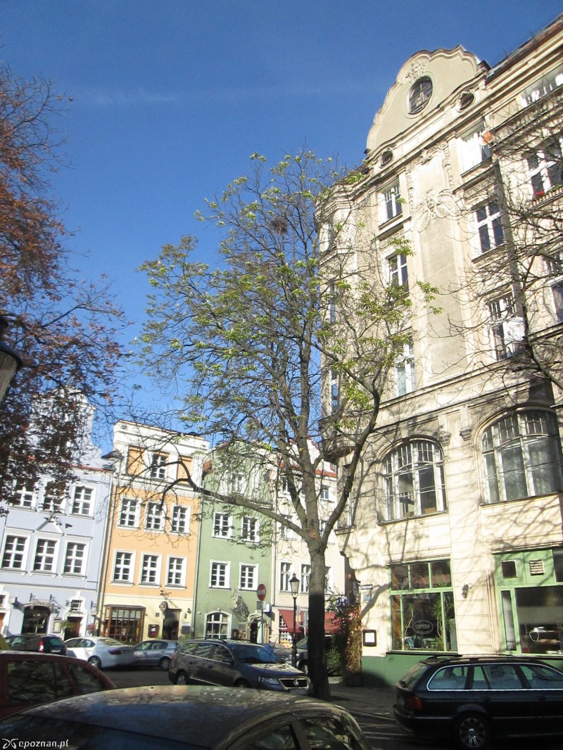 fot. Nishio Poznań