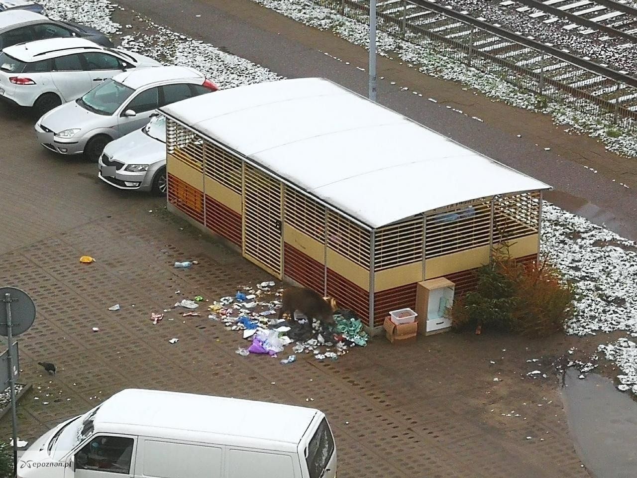 fot. Czytelniczka