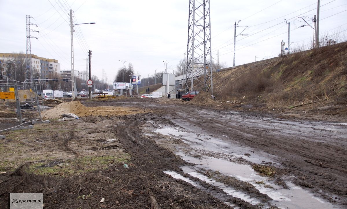 fot. Włodzimierz Hoppel