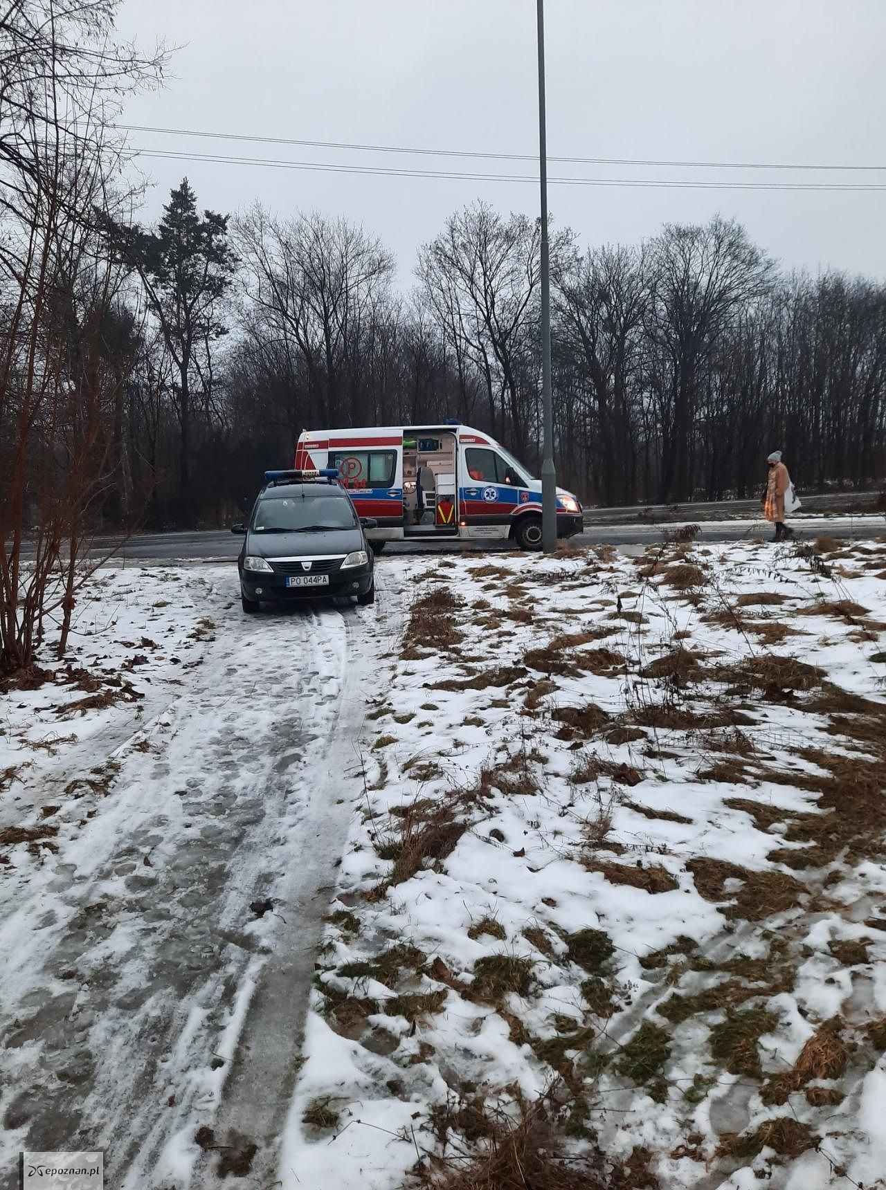 fot. Straż miejska