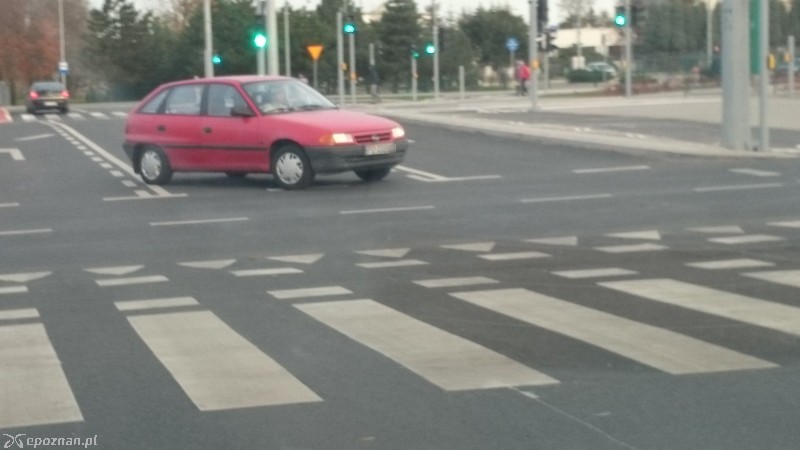 fot. Damicz