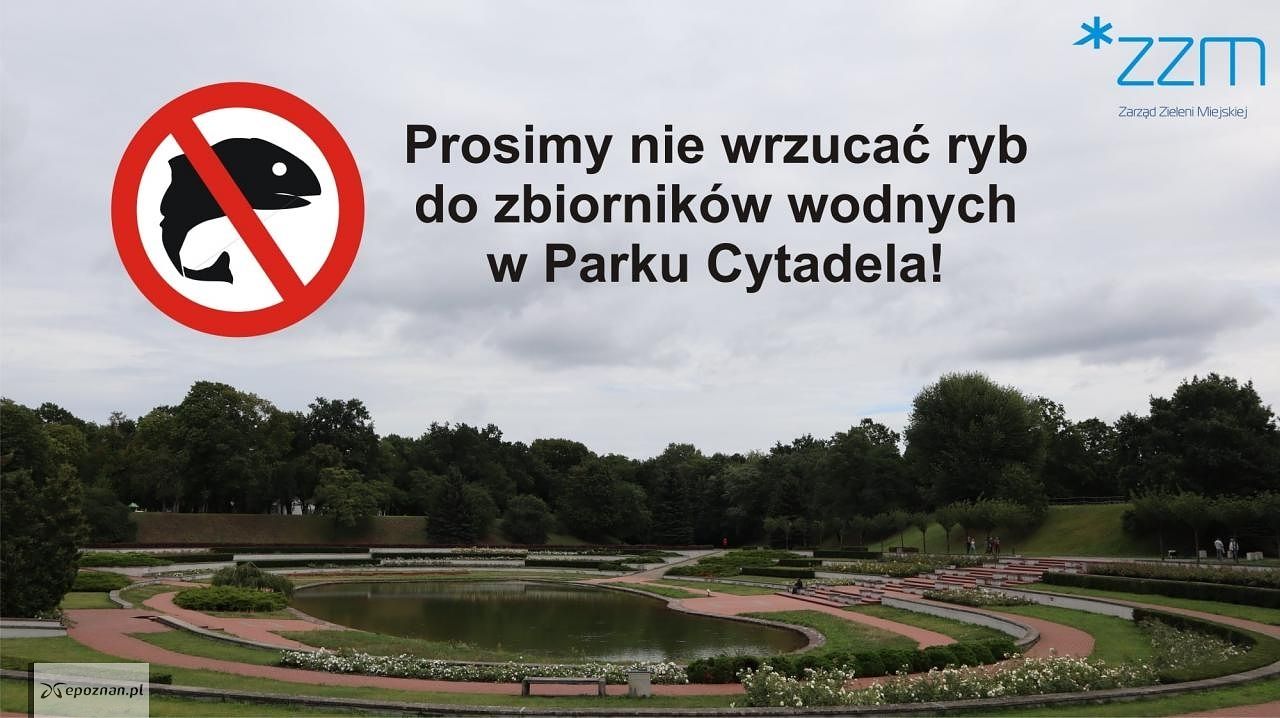 fot. ZZM Poznań