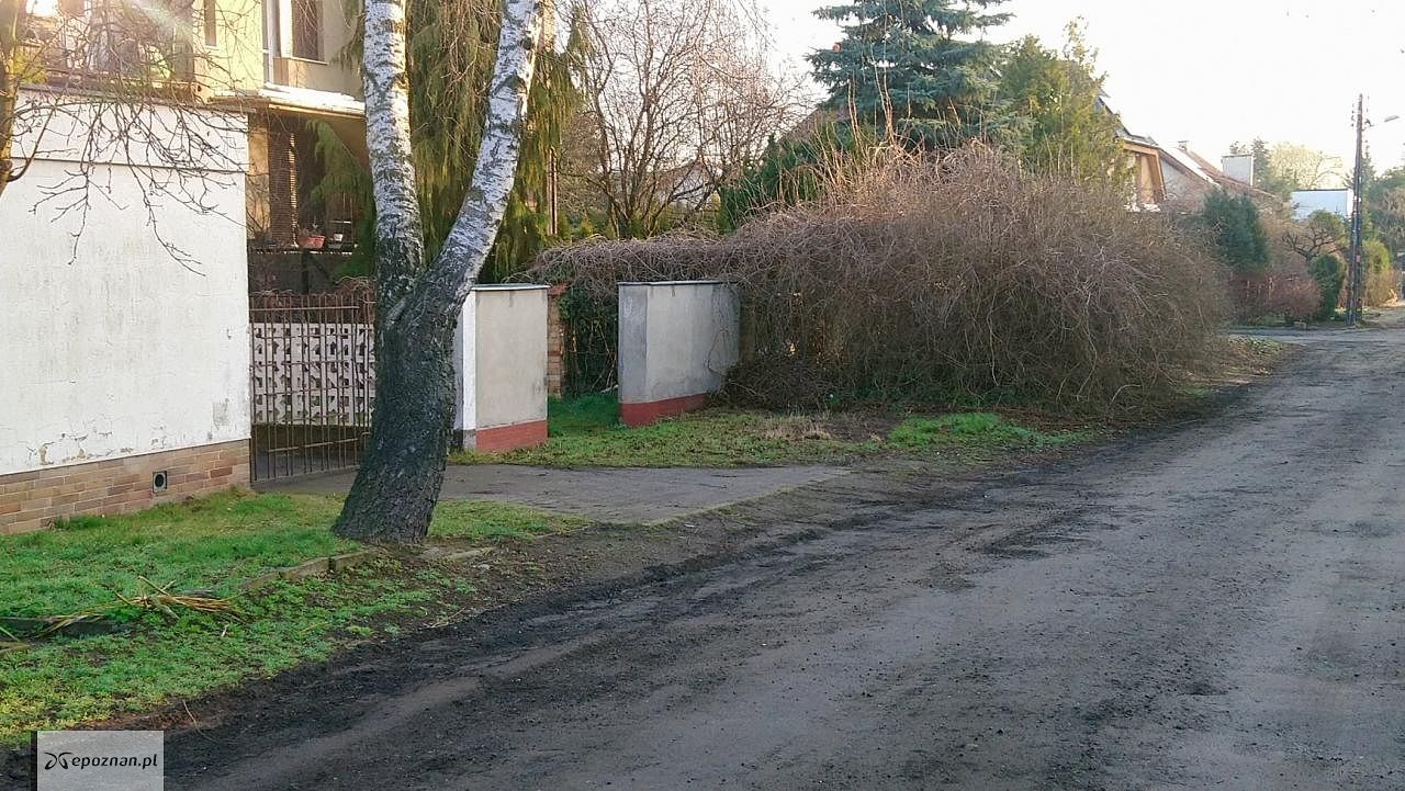 fot. Straż Miejska