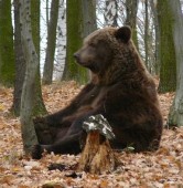fot. Nowe ZOO